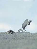 �ނ��낤