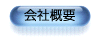 ЊTv