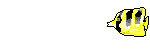 osakana