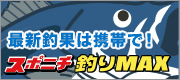 �X�|�j�`�ނ�MAX